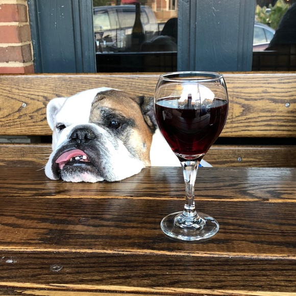 Meet your Posher, Jessi - Picture 11 of 13